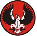 Rover Scouts photo