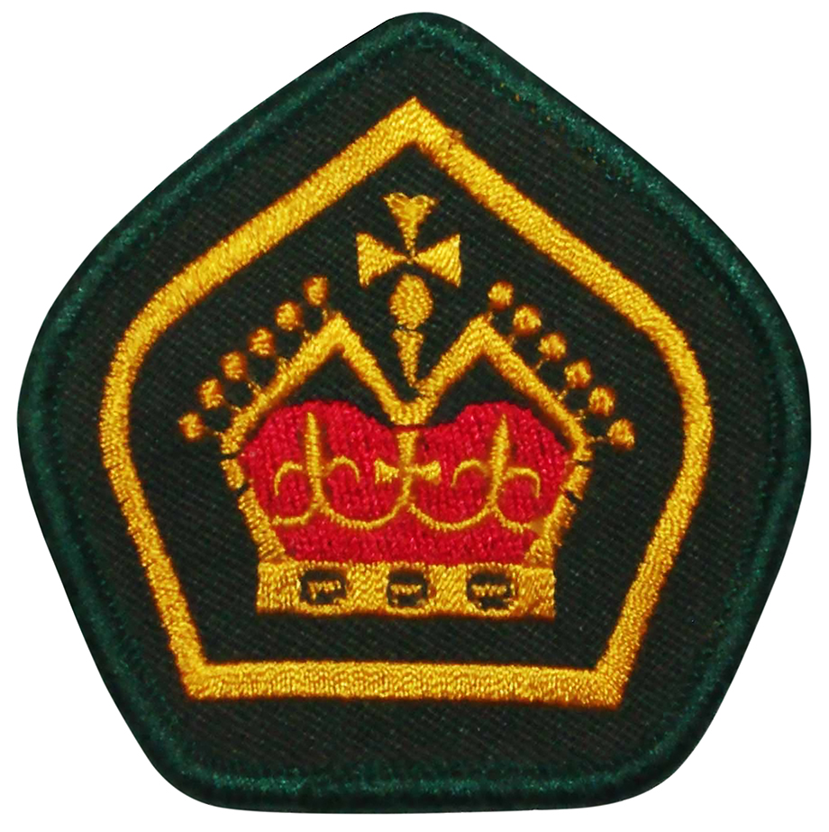 Venturer Scouts badge